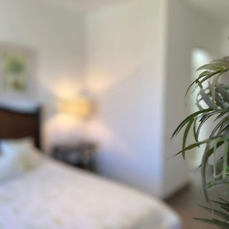 Casas Vacacionales El Deseo By Picsa Administracion Βίλα Σαν Μιγκέλ ντε Αγιέντε Εξωτερικό φωτογραφία