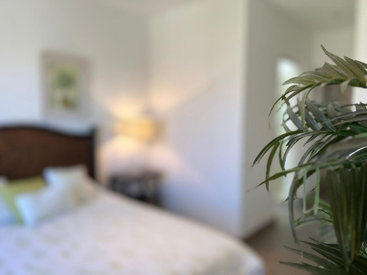 Casas Vacacionales El Deseo By Picsa Administracion Βίλα Σαν Μιγκέλ ντε Αγιέντε Εξωτερικό φωτογραφία